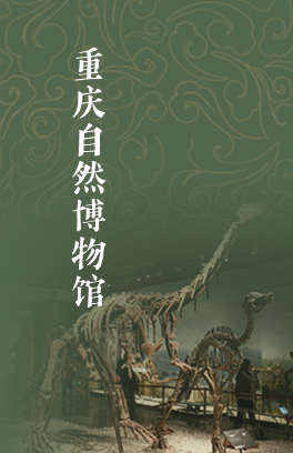 重庆自然博物馆