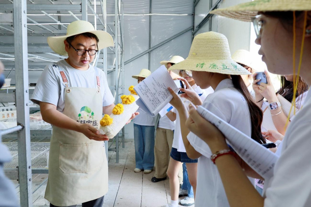 谁在悄悄点亮英雄湾?这群“青春合伙人”藏不住了!(图2)