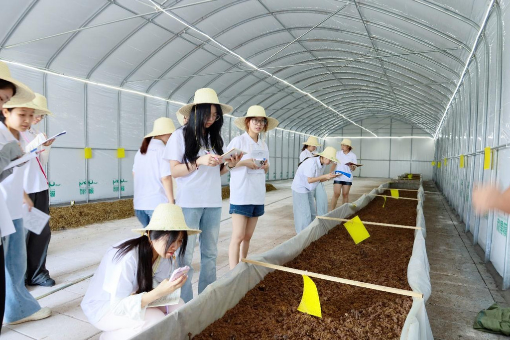 谁在悄悄点亮英雄湾?这群“青春合伙人”藏不住了!(图4)